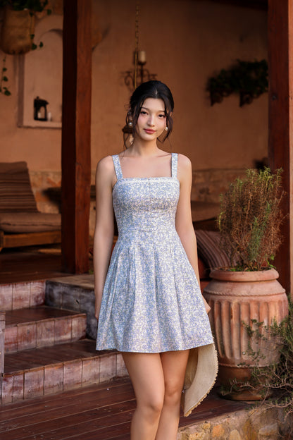 Eloise Mini Dress (Blue Meadow)