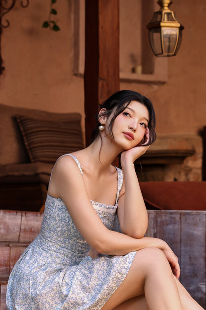 Eloise Mini Dress (Blue Meadow)